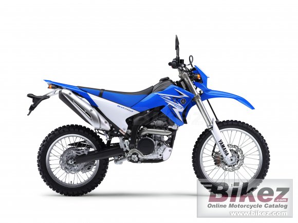 2009 Yamaha WR250R photo
